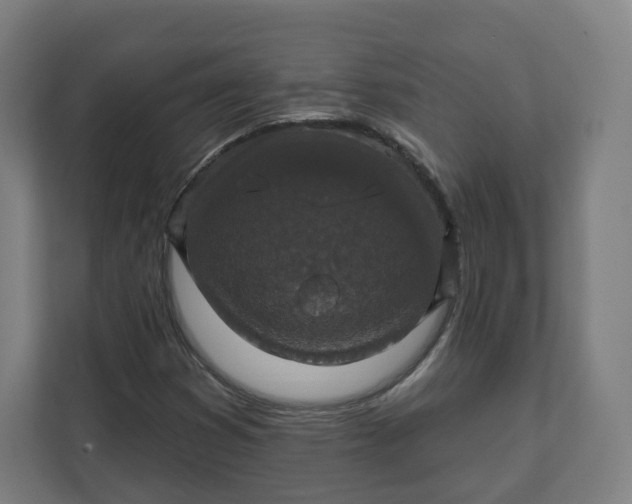 X0000112201353200908211532