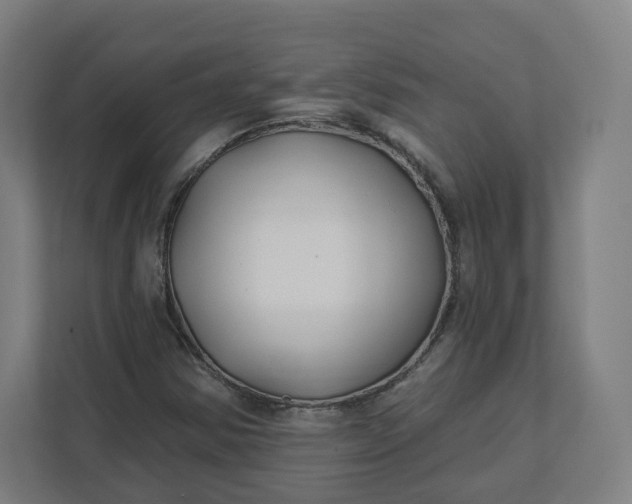 X0000112201354200908211532