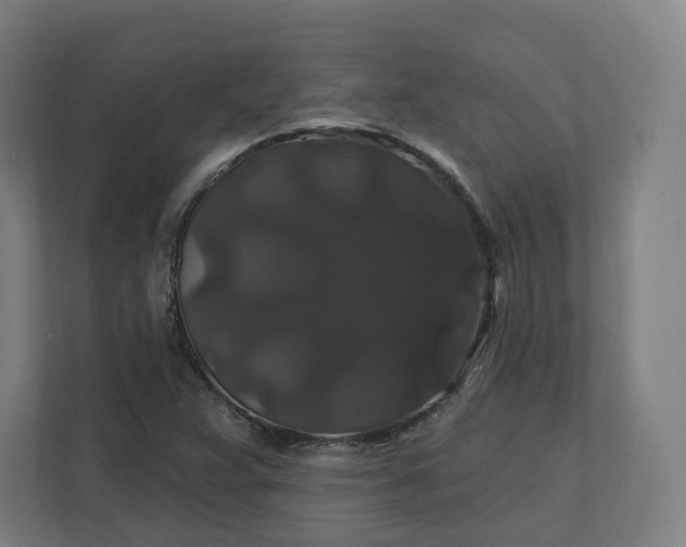 X0000112201359200908211532