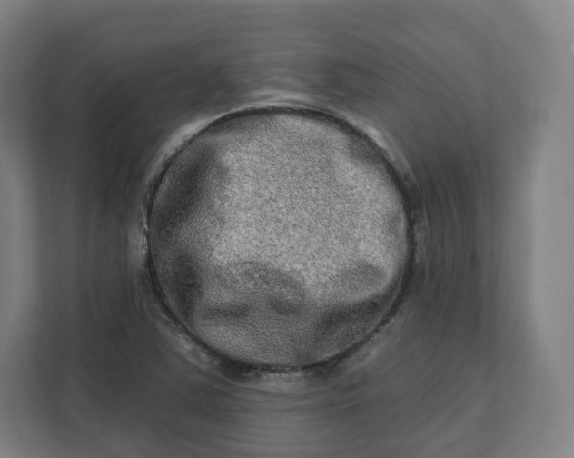 X0000112201363200908211532