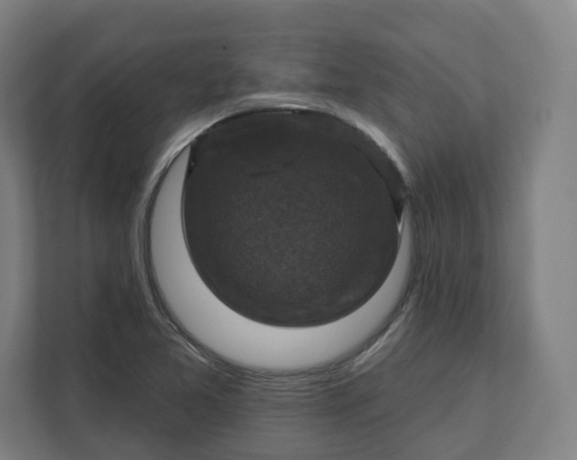 X0000112201365200908211532