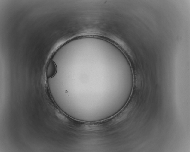 X0000112201366200908211532