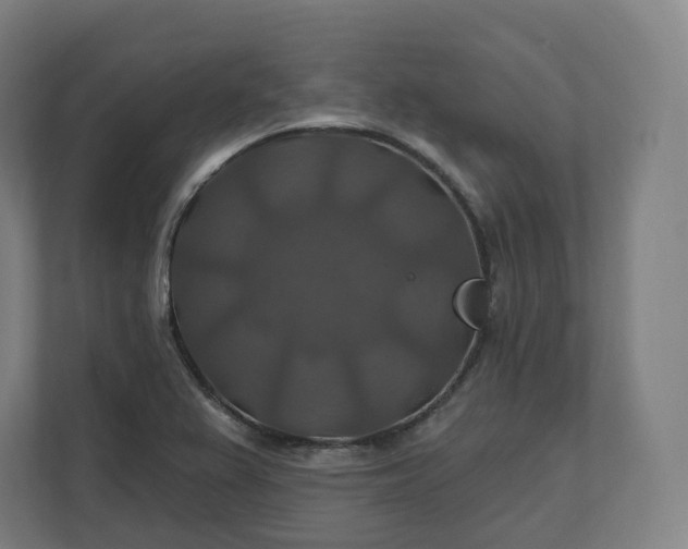 X0000112201367200908211532