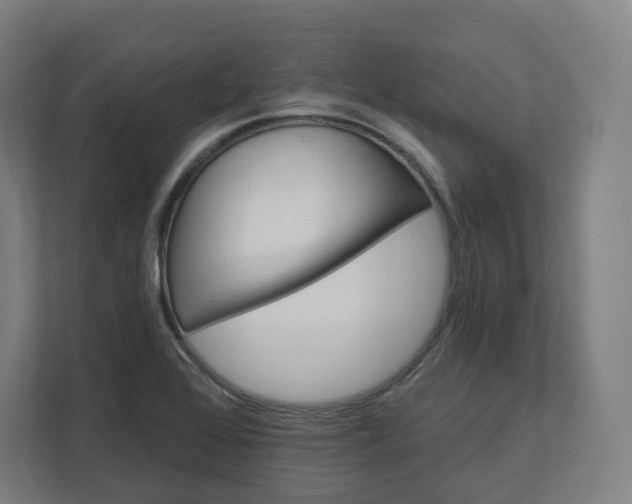 X0000112201368200908211532