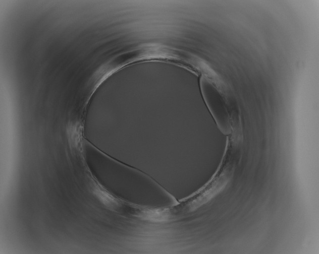 X0000112201369200908211532