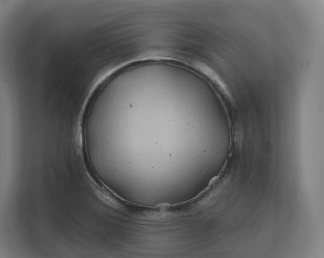 X0000112201372200908211532