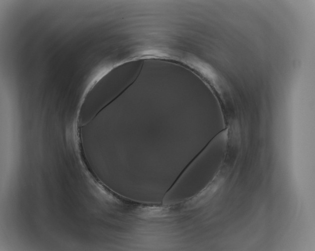 X0000112201373200908211532