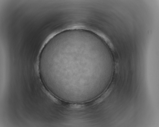 X0000112201374200908211532