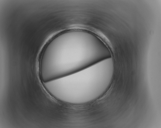 X0000112201376200908211532