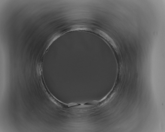 X0000112201377200908211532