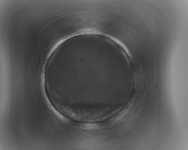 X0000112201383200908211532