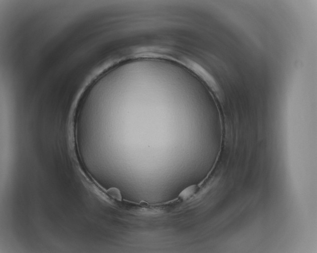 X0000112201384200908211532