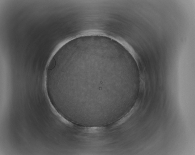 X0000112201390200908211532