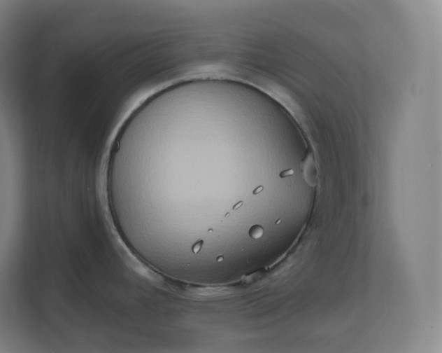 X0000112201392200908211532