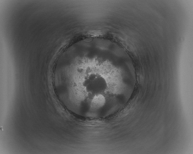 X0000112201393200908211531