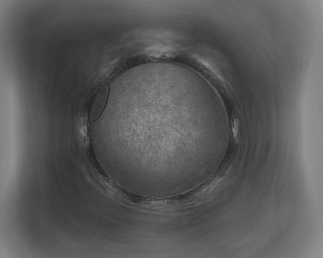 X0000112201396200908211531