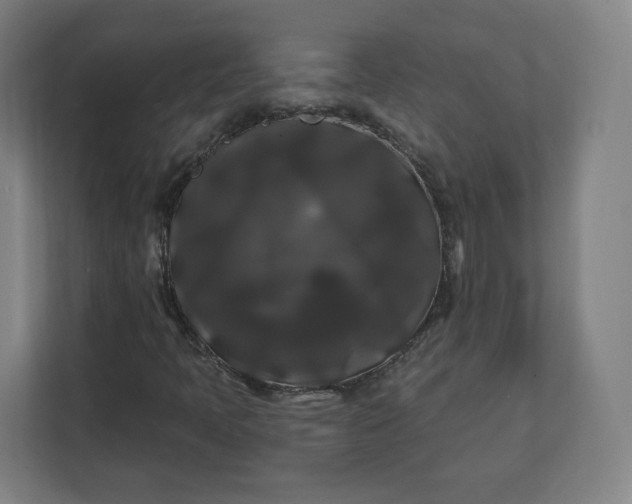 X0000112201397200908211531