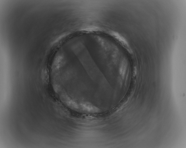 X0000112201398200908211531