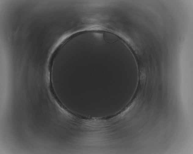 X0000112201414200908211531