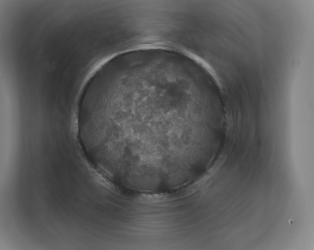 X0000112201415200908211531