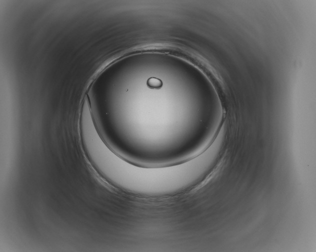 X0000112201417200908211531