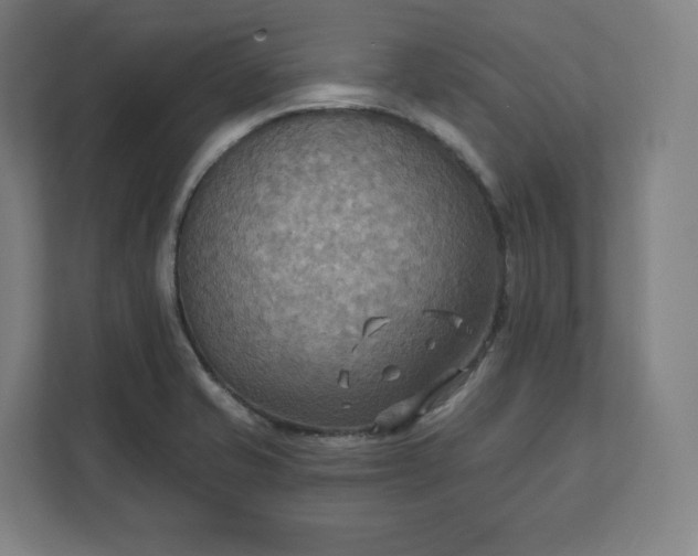 X0000112201421200908211531