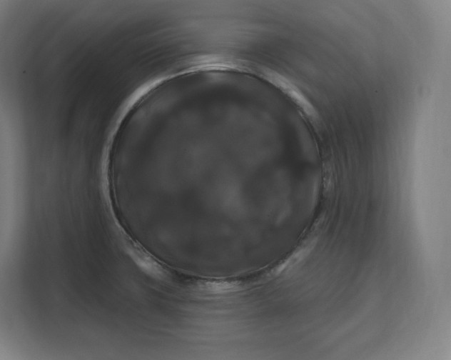 X0000112201427200908211531