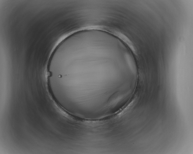 X0000112201428200908211531