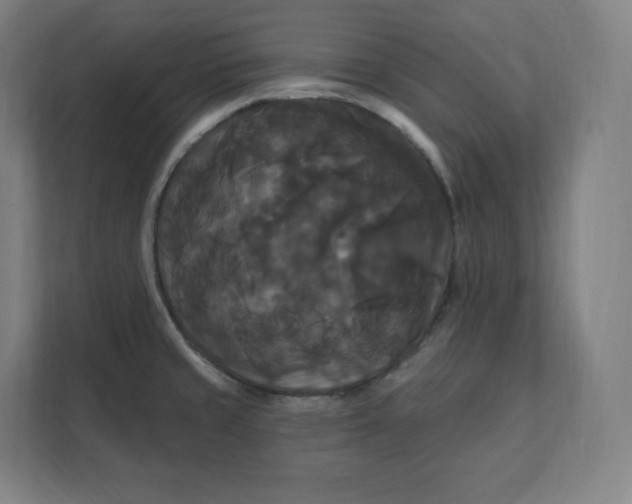 X0000112201429200908211531