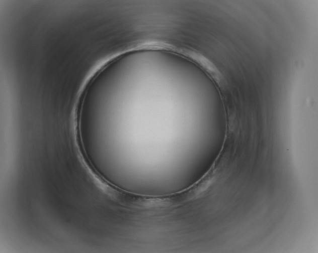 X0000112201430200908211531