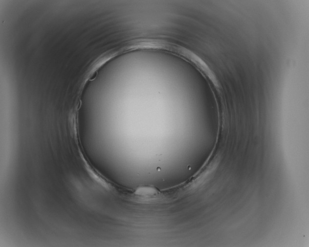 X0000112201433200908211531