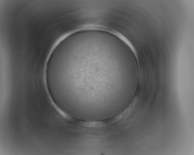 X0000112201437200908211532