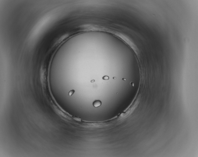 X0000112201438200908211532