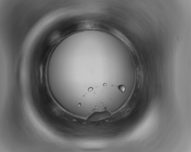 X0000112201439200908211532