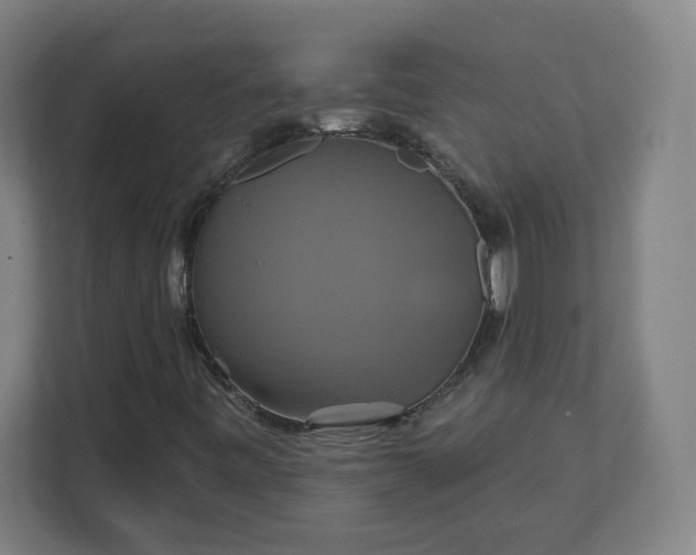 X0000112201443200908211531