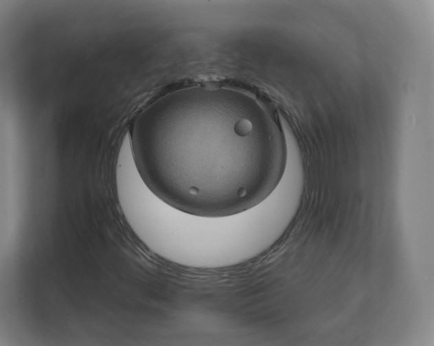 X0000112201444200908211531