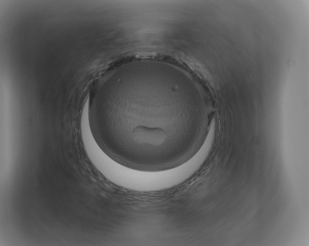 X0000112201445200908211531