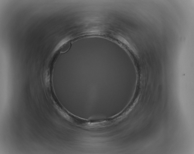 X0000112201450200908211531