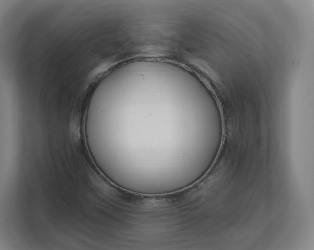 X0000112201451200908211531