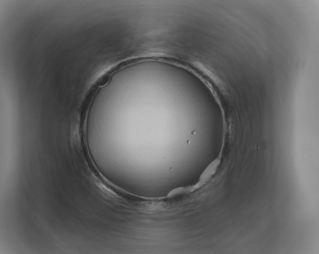 X0000112201452200908211531