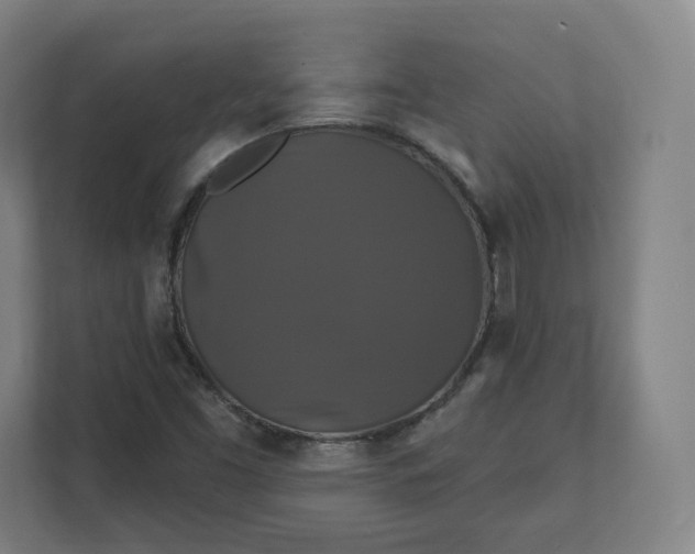 X0000112201453200908211531