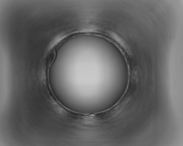 X0000112201456200908211531