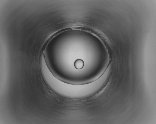 X0000112201457200908211531