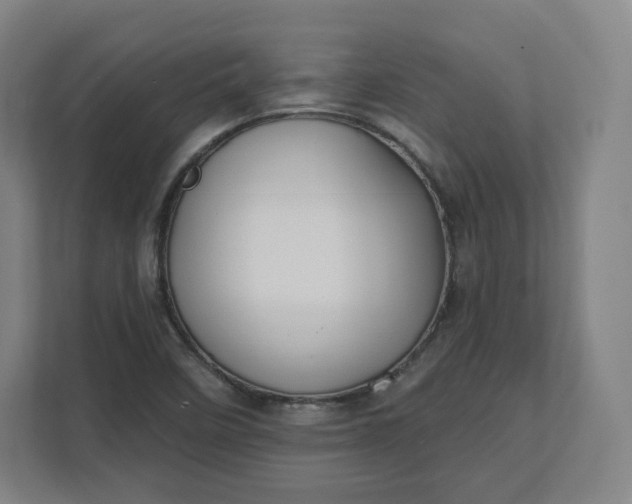 X0000112201458200908211531