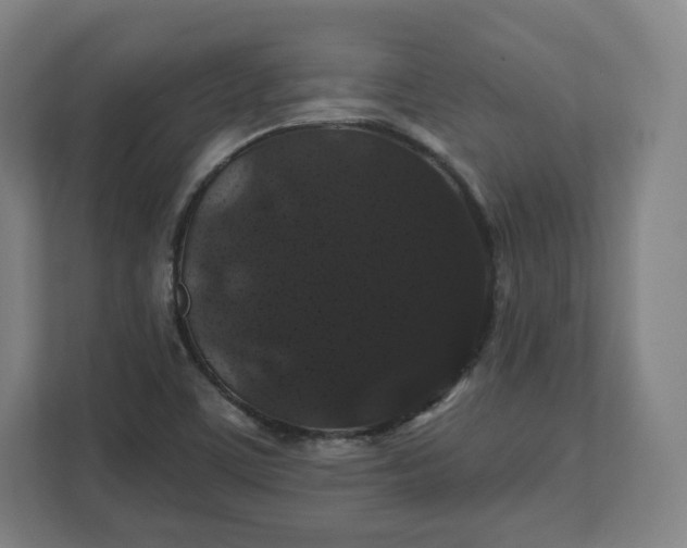 X0000112201459200908211531