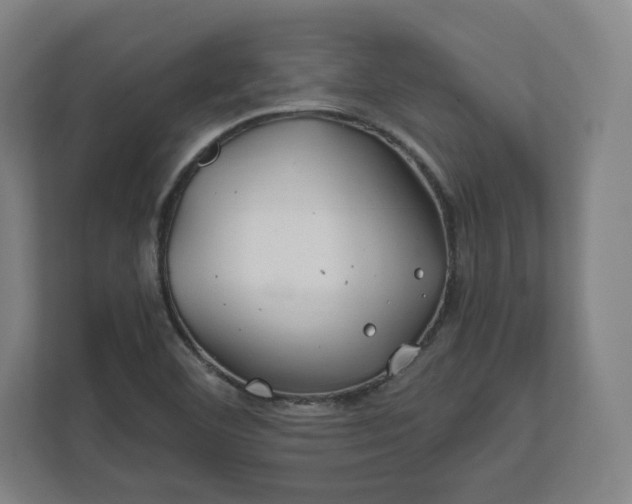 X0000112201460200908211531