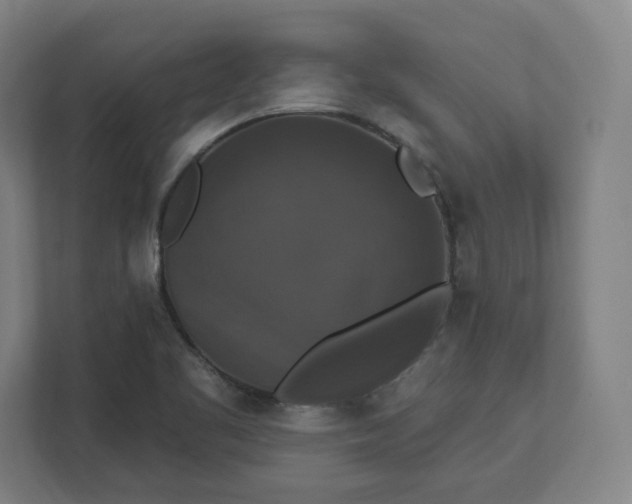 X0000112201461200908211531