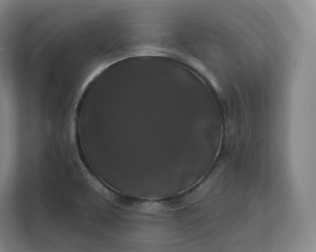 X0000112201463200908211531