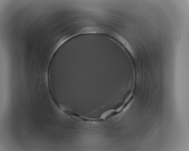 X0000112201465200908211531