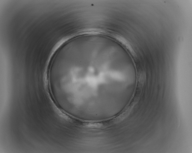 X0000112201466200908211531